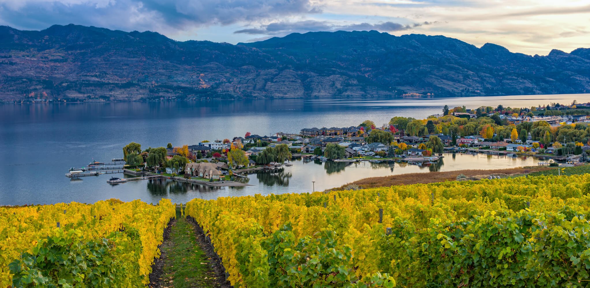 What type of Canada traveller are you?