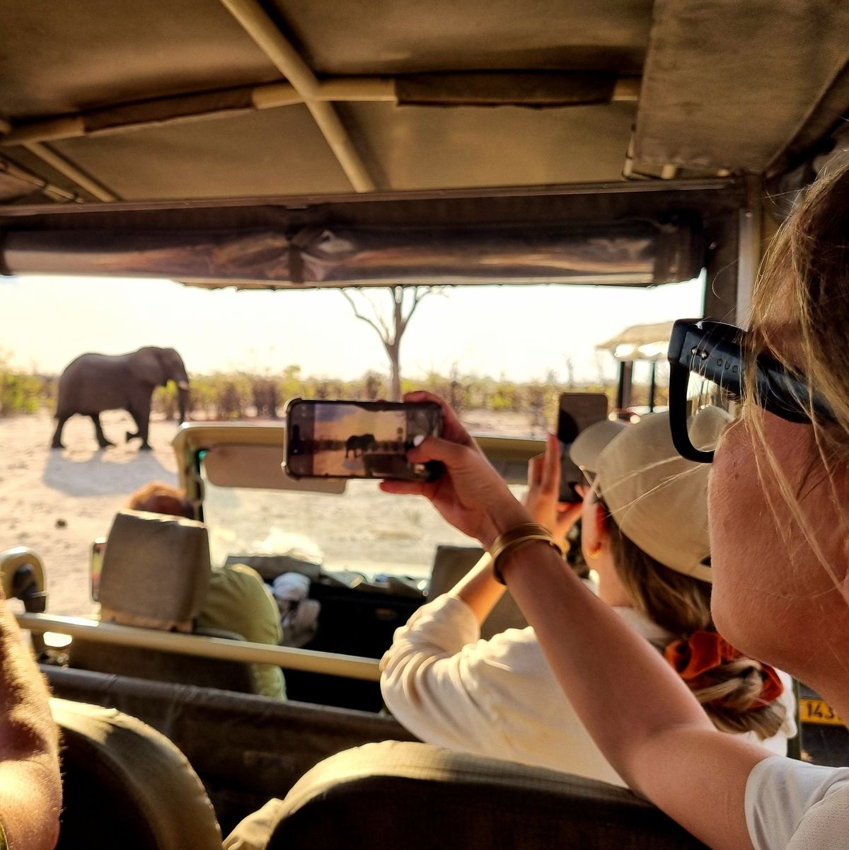 Travellers photographing an elephant from a game-drive vehicle