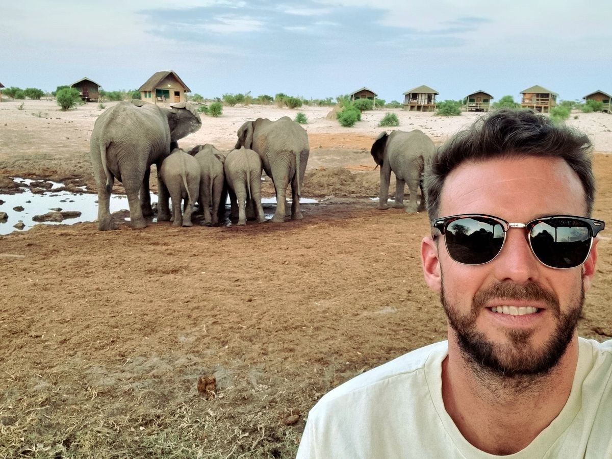 An elephant herd at a waterhole in front of safari lodge tents
