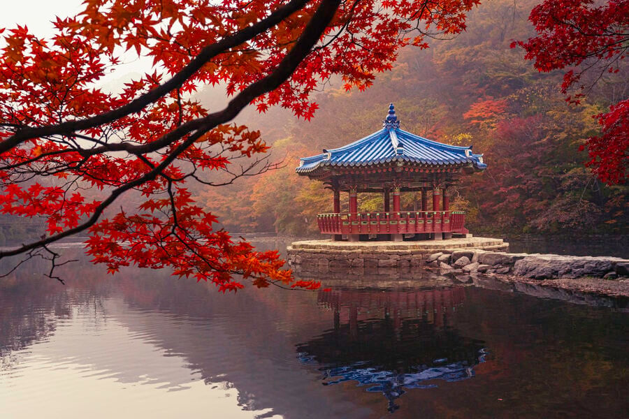 Autumn colours by a Korean pavilion