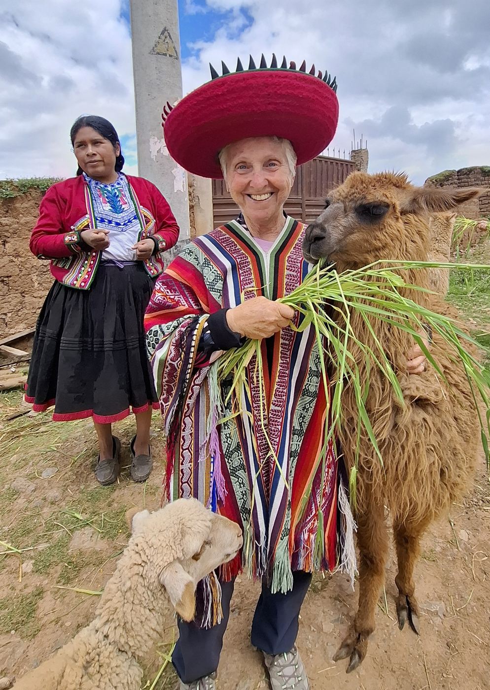 A traveller in a poncho feeding a llama in the Sacred Valley