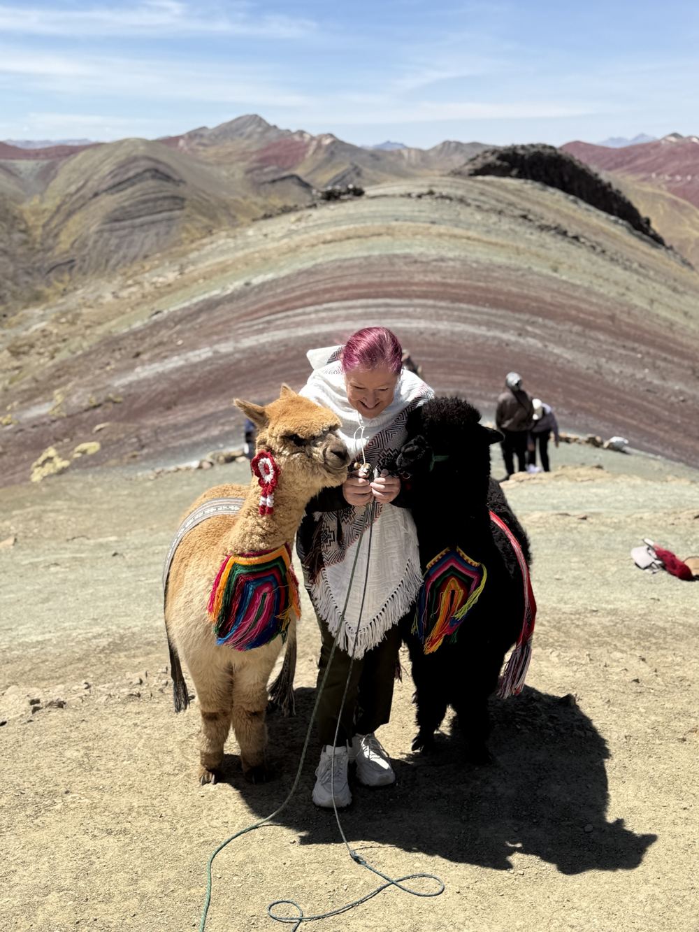 A traveller with two alpacas on Rainbow Mountain