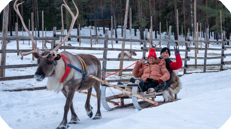 Reindeer sleigh ride